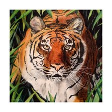 Wenskaart tijger - kunstkaart