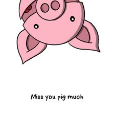 Zomaar miss you pig much