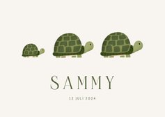 Geboortekaartje familieportret schildpadjes groen