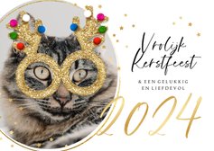 Grappige kerstkaart glitterbril kat sterren jaartal goud