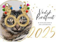 Grappige kerstkaart glitterbril kat sterren jaartal goud