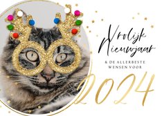 Grappige nieuwjaarskaart kat glitterbril sterren goud