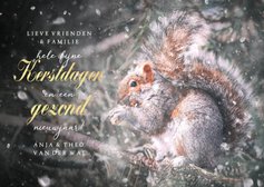 Klassieke kerstkaart eekhoorn in bos sneeuw en typografie