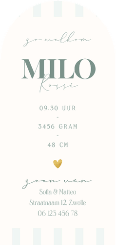 Fruitig geboortekaartje met citroenen en blauwe streepjes Achterkant