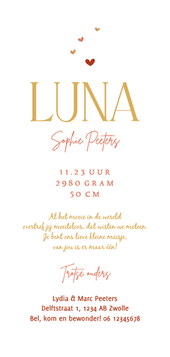 Geboortekaartje boogkaart regenboog roze hartjes goud Achterkant