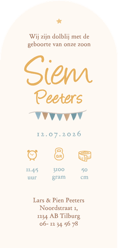 Hoge boogkaart luchtballon dieren vintage sterren geboorte Achterkant