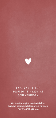 Langwerpig geboortekaartje zusje met 2 grote broers Achterkant