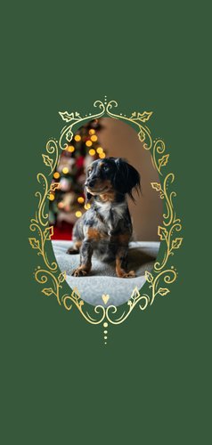 Chique kerstkaart met gouden fotokader van takjes 2