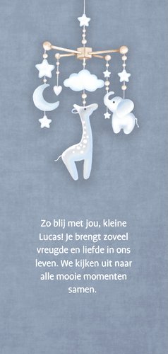 Geboorte jongen mobiel babyknuffels 2