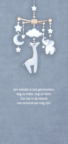 Geboorte jongen mobiel babyknuffels 2