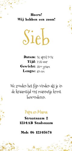 Geboorte origineel kaartje met goudkleurig lief girafje Achterkant