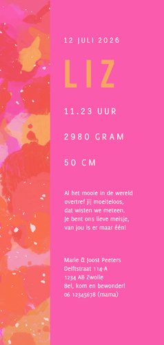 Geboortekaartje bijzonder kunst felle kleuren goud Achterkant