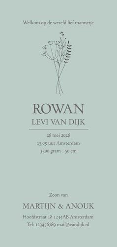 Geboortekaartje botanical illustratie letter jongen Achterkant