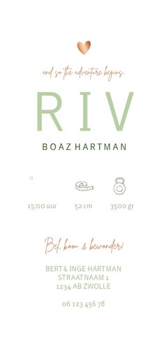 Geboortekaartje dinosaurus illustratie hartje koper jongen Achterkant