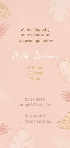 Geboortekaartje flamingo en bladeren Achterkant