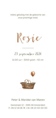 Geboortekaartje giraf met baby mand en ballon Achterkant