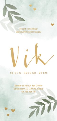 Geboortekaartje gouden hartjes takjes waterverf mintgroen Achterkant