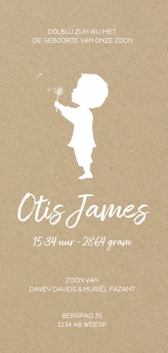 Geboortekaartje langwerpig met jongen en paardenbloem kraft 3