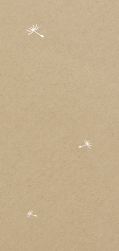 Geboortekaartje langwerpig silhouet meisje met paardebloem Achterkant