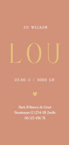 Geboortekaartje langwerpig stijlvol terra met veren Achterkant