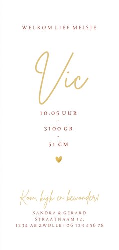 Geboortekaartje meisje met panterprint en gouden hartjes 3