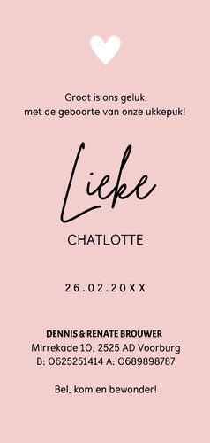 Geboortekaartje meisje roze langwerpig met foto 3