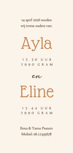 Geboortekaartje tweeling draakjes wolkjes hartjes koper 3