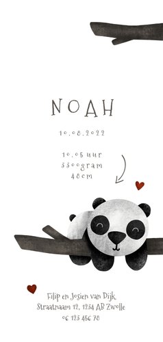 Geboortekaartje tweeling panda's met takjes lief 3