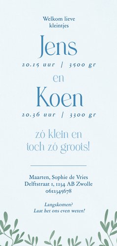 Geboortekaartje voor jongens met zeepaardjes blauw tweeling Achterkant
