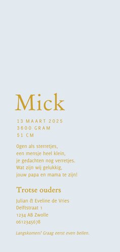 Grijsblauw geboortekaartje met lijnillustratie in goud Achterkant