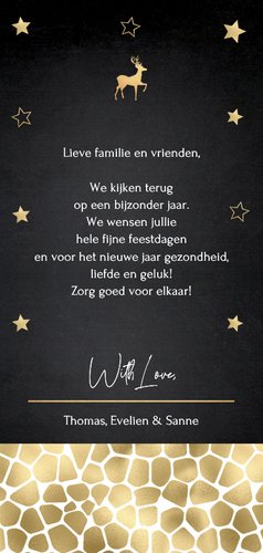 Kerstkaart foto sterren panterprint goudlook Achterkant