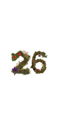 Kerstkaart natuur 2026 en 1 foto Achterkant