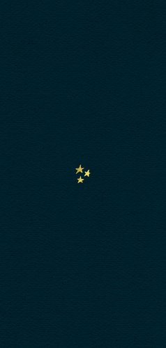 Kerstkaart notenkraker vintage sterren goud illustratie Achterkant