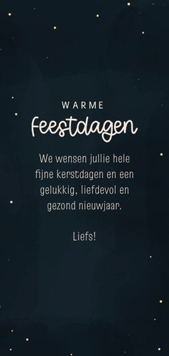 Kerstkaartje schattige kat met kersttrui en lampjes Achterkant