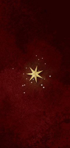 Kerstlunch menukaart sterren goud rode achtergrond Achterkant