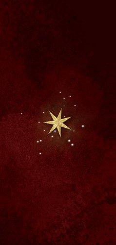 Kerstlunch menukaart sterren goud rode achtergrond Achterkant