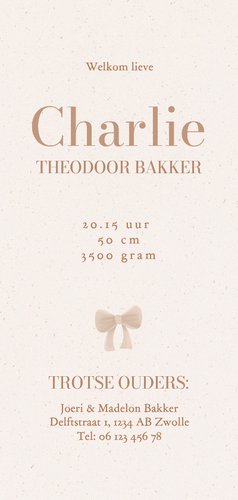 Klassiek geboorte kaartje met teddybeer met beige strikje Achterkant