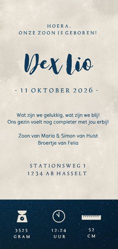 Langwerpig geboortekaartje met silhouet zus en broertje  3