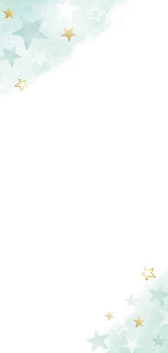 Langwerpig geboortekaartje voor een broertje met 2 zussen Achterkant