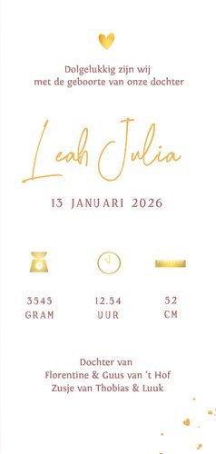 Langwerpig geboortekaartje zusje met 2 grote broers 3