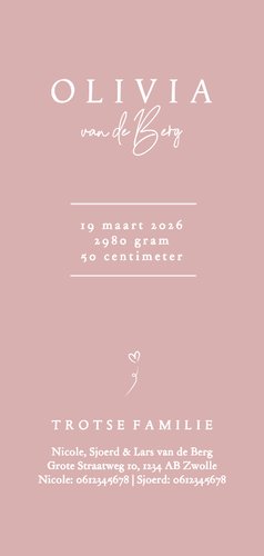 Langwerpige geboortekaartjes zusje met lijn illustratie roze Achterkant