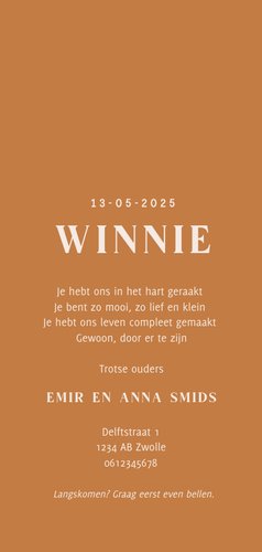 Lief beige geboortekaartje met beertje Achterkant