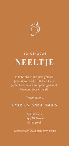 Lief beige geboortekaartje met eekhoorntje  Achterkant