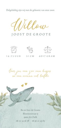 Lief en bijzonder geboortekaartje met walvisje in de oceaan Achterkant