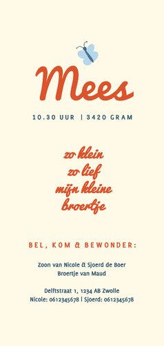 Lief geboortekaartje broertje paddenstoel en vlinders 3