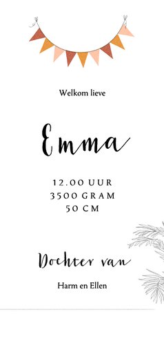 Lief geboortekaartje jungledieren olifant giraf ballonnen 3