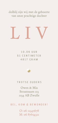 Lief geboortekaartje met bijtjes, takjes en goudfolie Achterkant