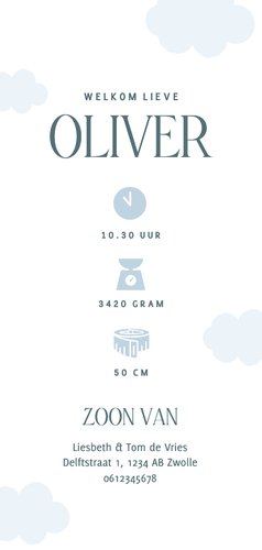 Lief wit geboortekaartje met blauw olifantje en ballonnen Achterkant