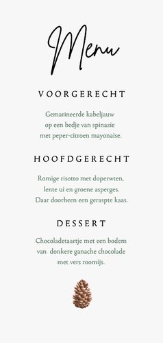 Menukaart kerst dennentakjes dennenappel sneeuw Achterkant