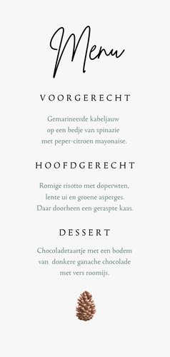 Menukaart kerst winter dennentakjes dennenappel sneeuw Achterkant